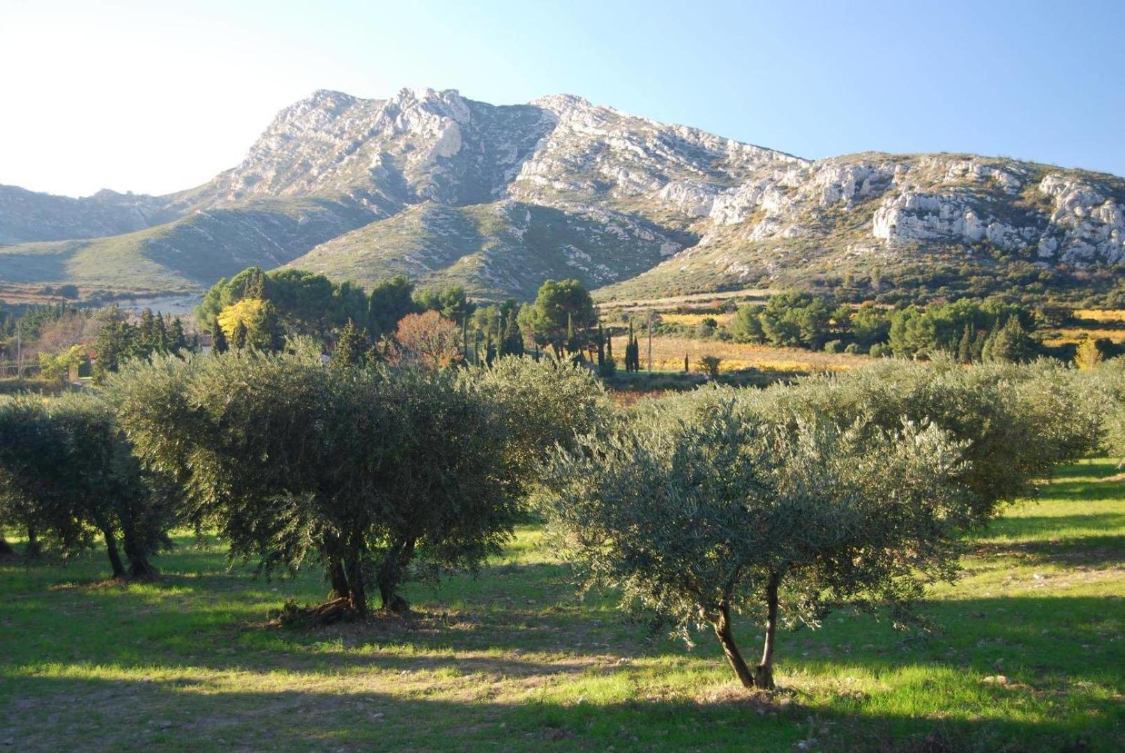 דירות מורייס Sous Le Soleil Des Alpilles מראה חיצוני תמונה