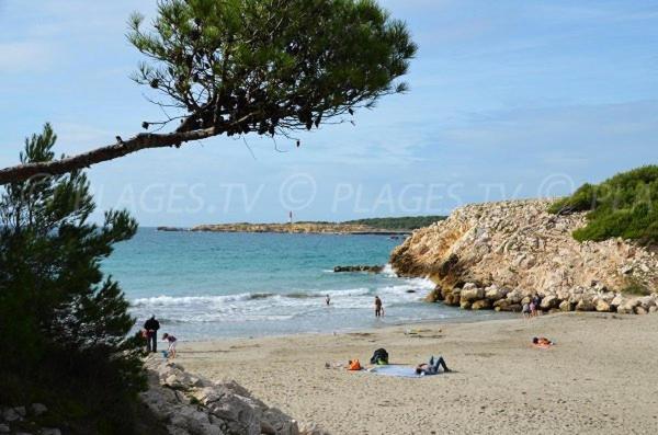 דירות מורייס Sous Le Soleil Des Alpilles מראה חיצוני תמונה